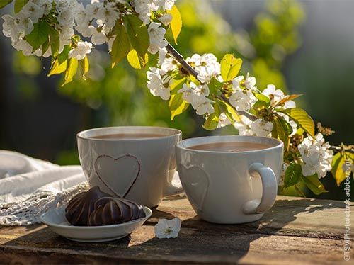 Special zu Pfingsten